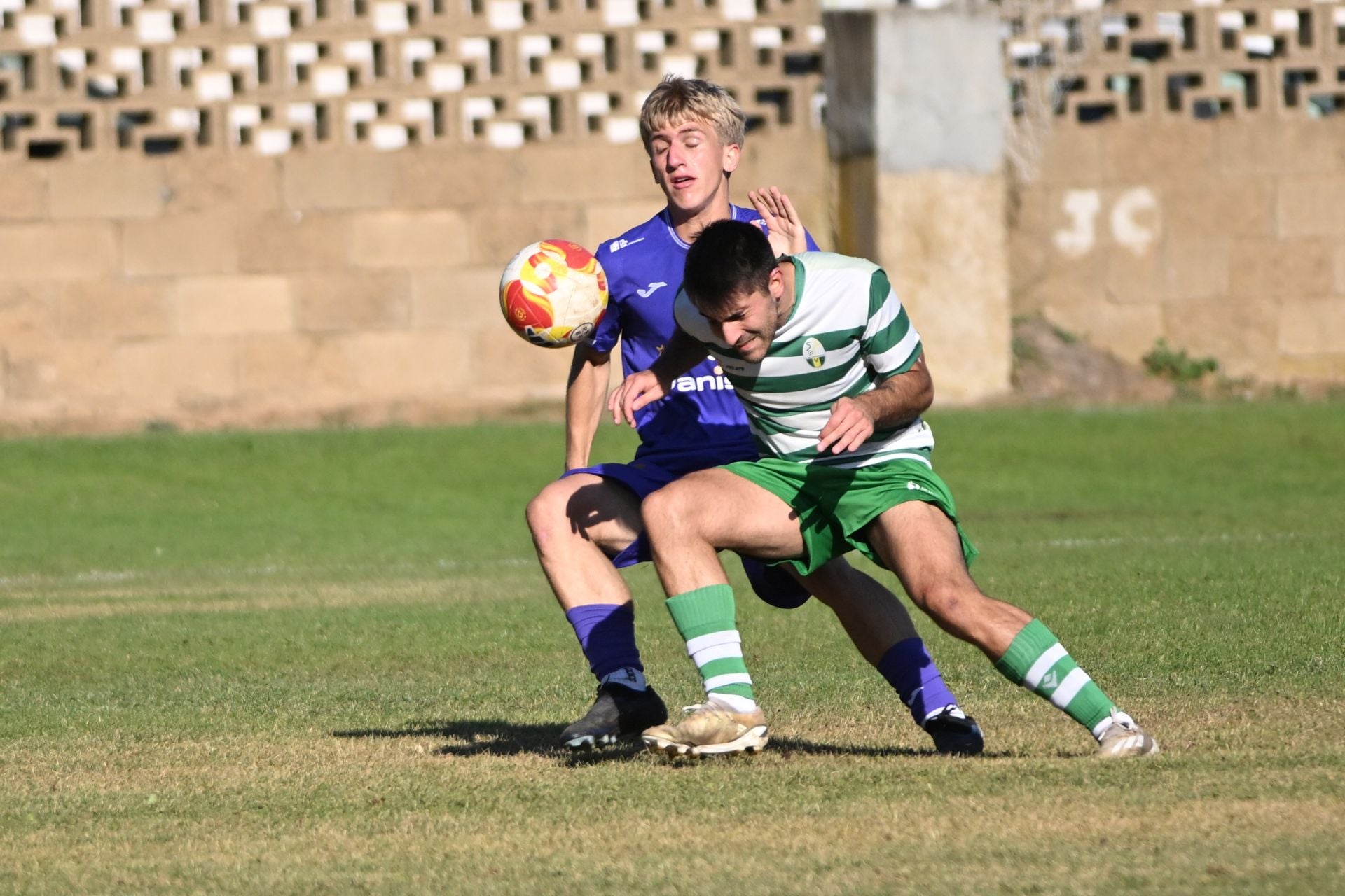 Virgen del Camino-Palencia Cristo