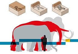 El mastodonte de Las Contiendas y las diferencias con un mamut