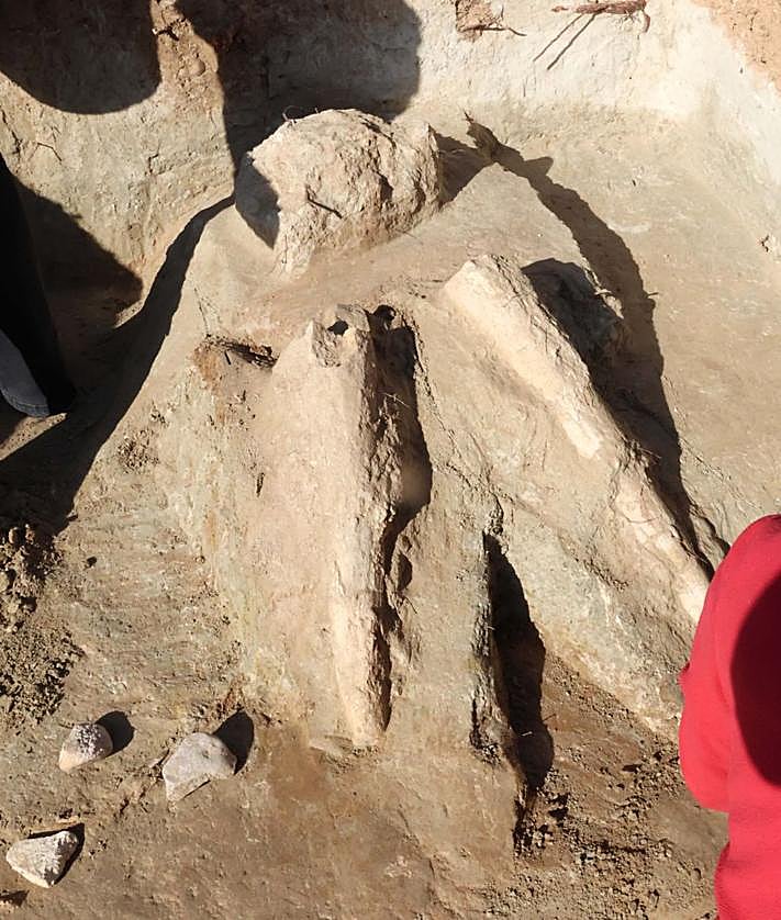 Imagen secundaria 2 - Extracción y parte de los restos del mastodonte.