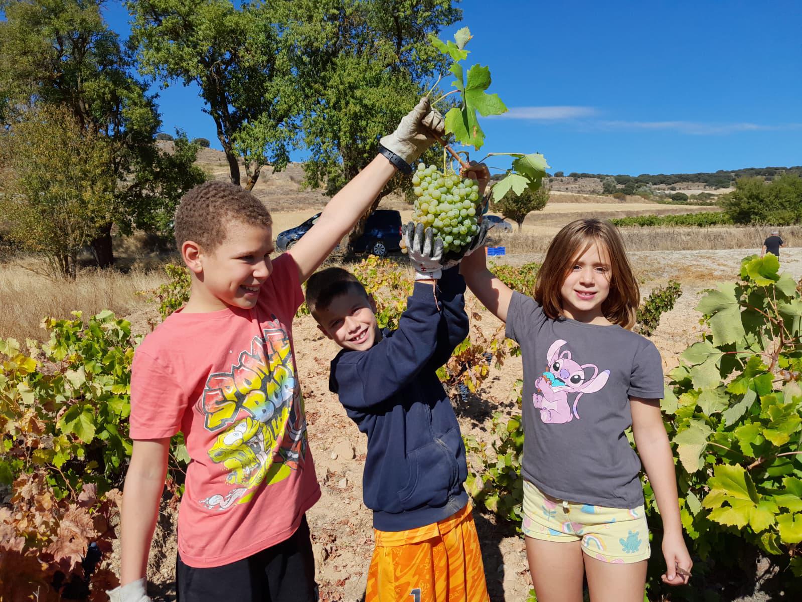 XVII Fiesta de la Vendimia en Castrillo de Don Juan