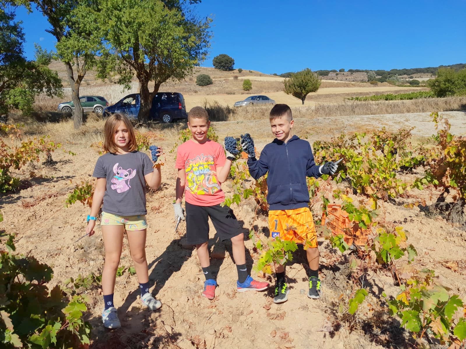 XVII Fiesta de la Vendimia en Castrillo de Don Juan