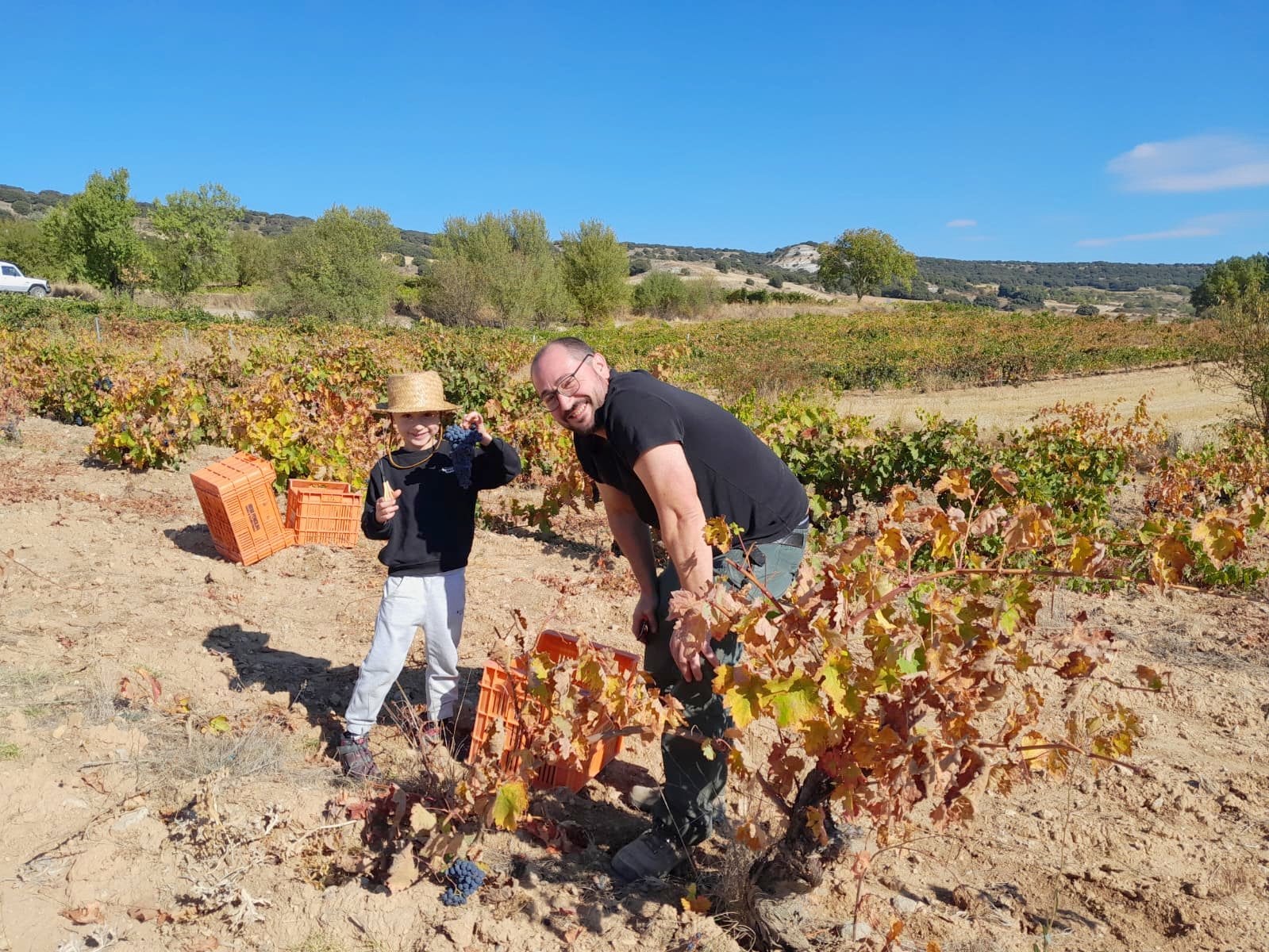 XVII Fiesta de la Vendimia en Castrillo de Don Juan
