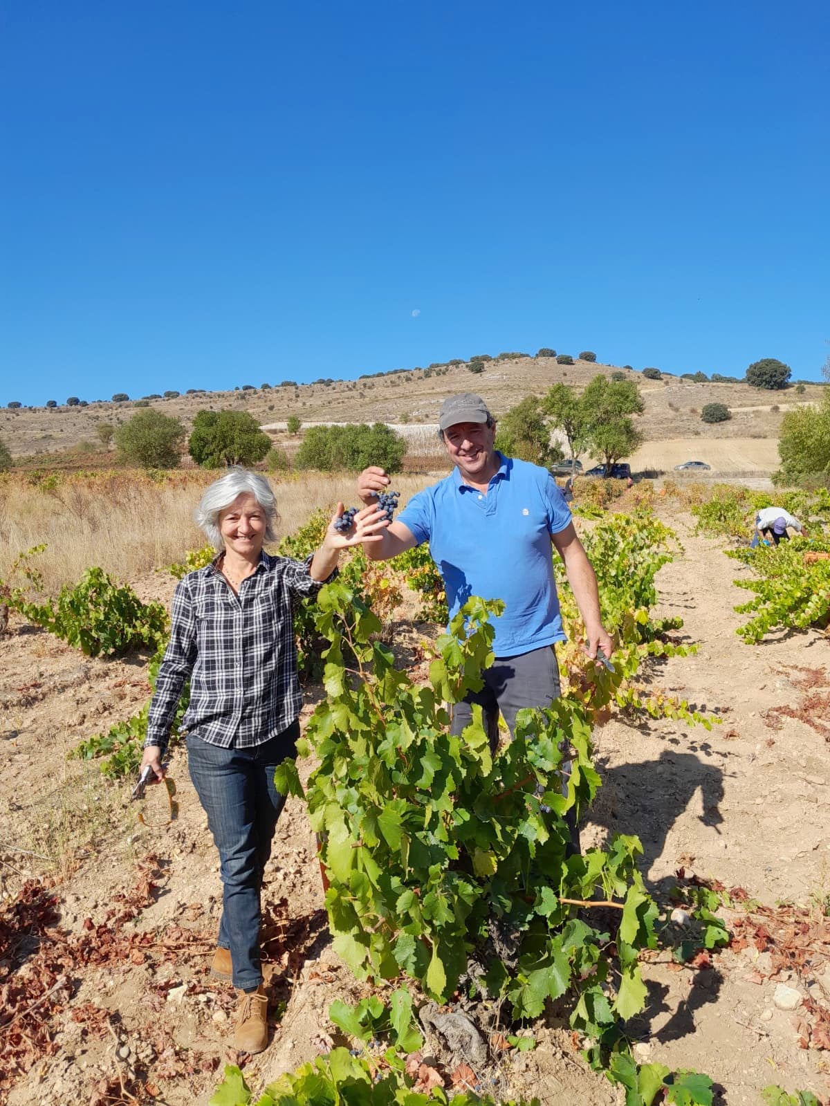 XVII Fiesta de la Vendimia en Castrillo de Don Juan