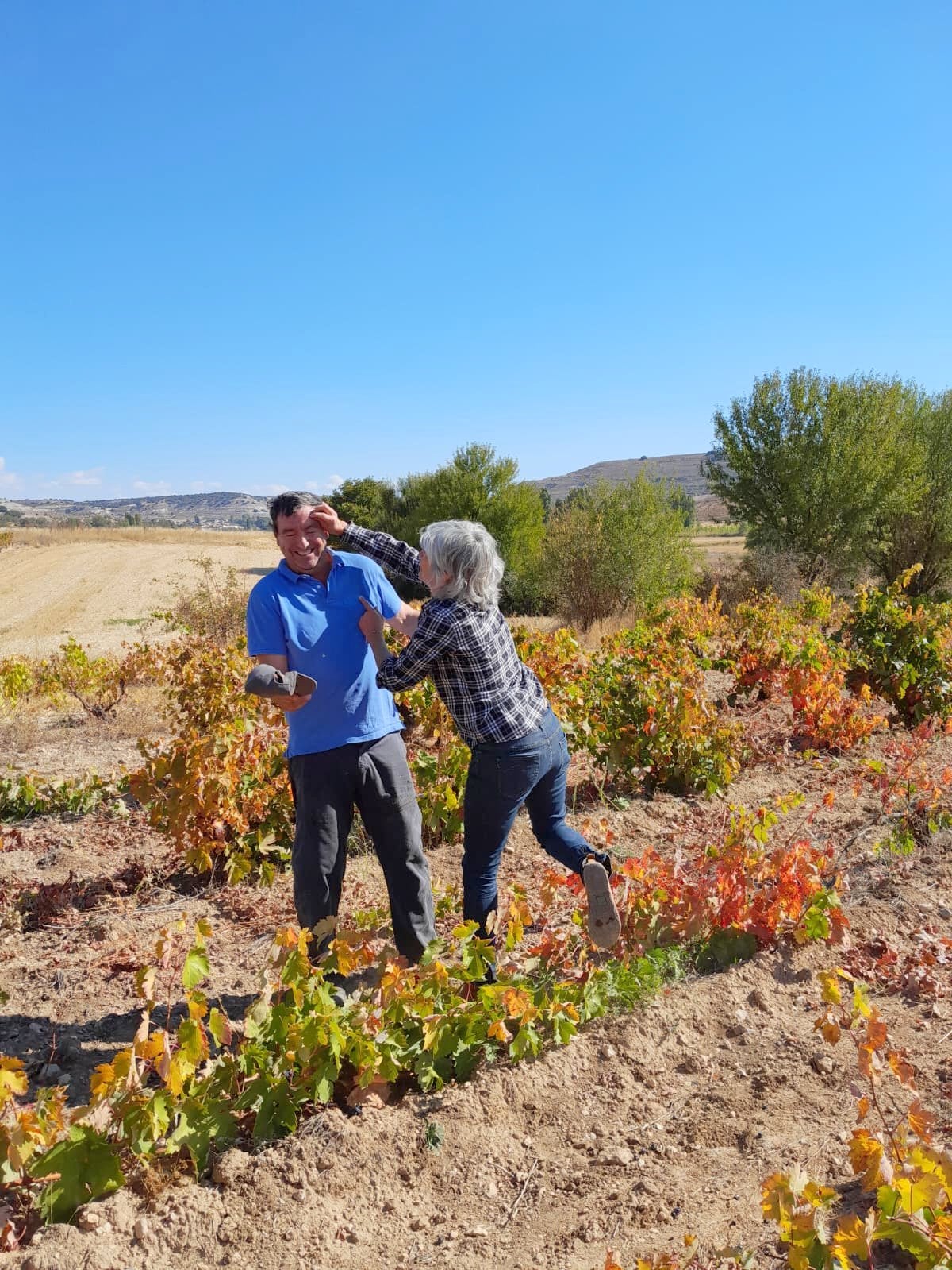 XVII Fiesta de la Vendimia en Castrillo de Don Juan