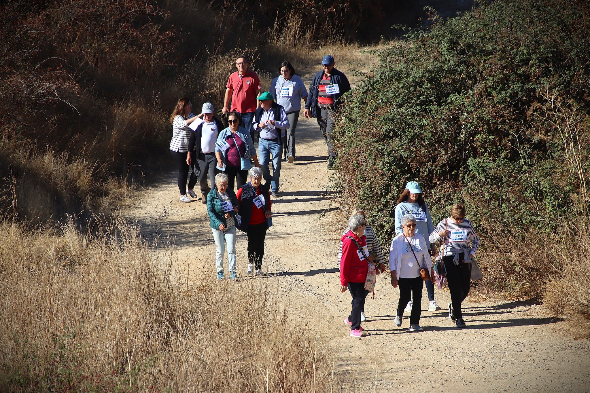 Castromonte camina contra el sarcoma de Ewing