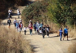 Castromonte camina contra el sarcoma de Ewing