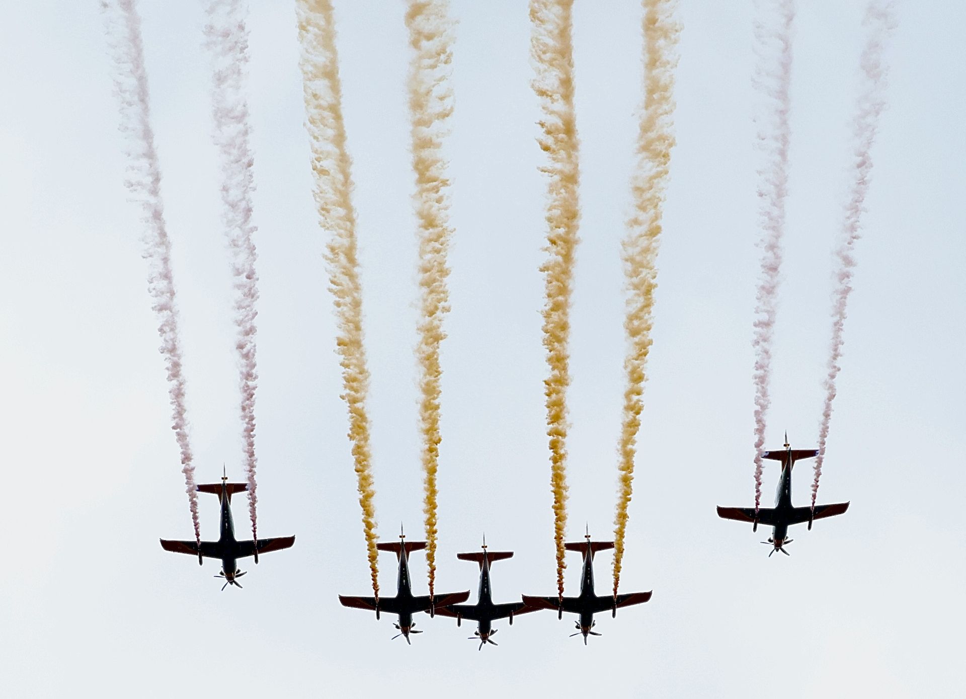 Las imágenes de Mañueco en el desfile de las fuerzas armadas del 12 de octubre