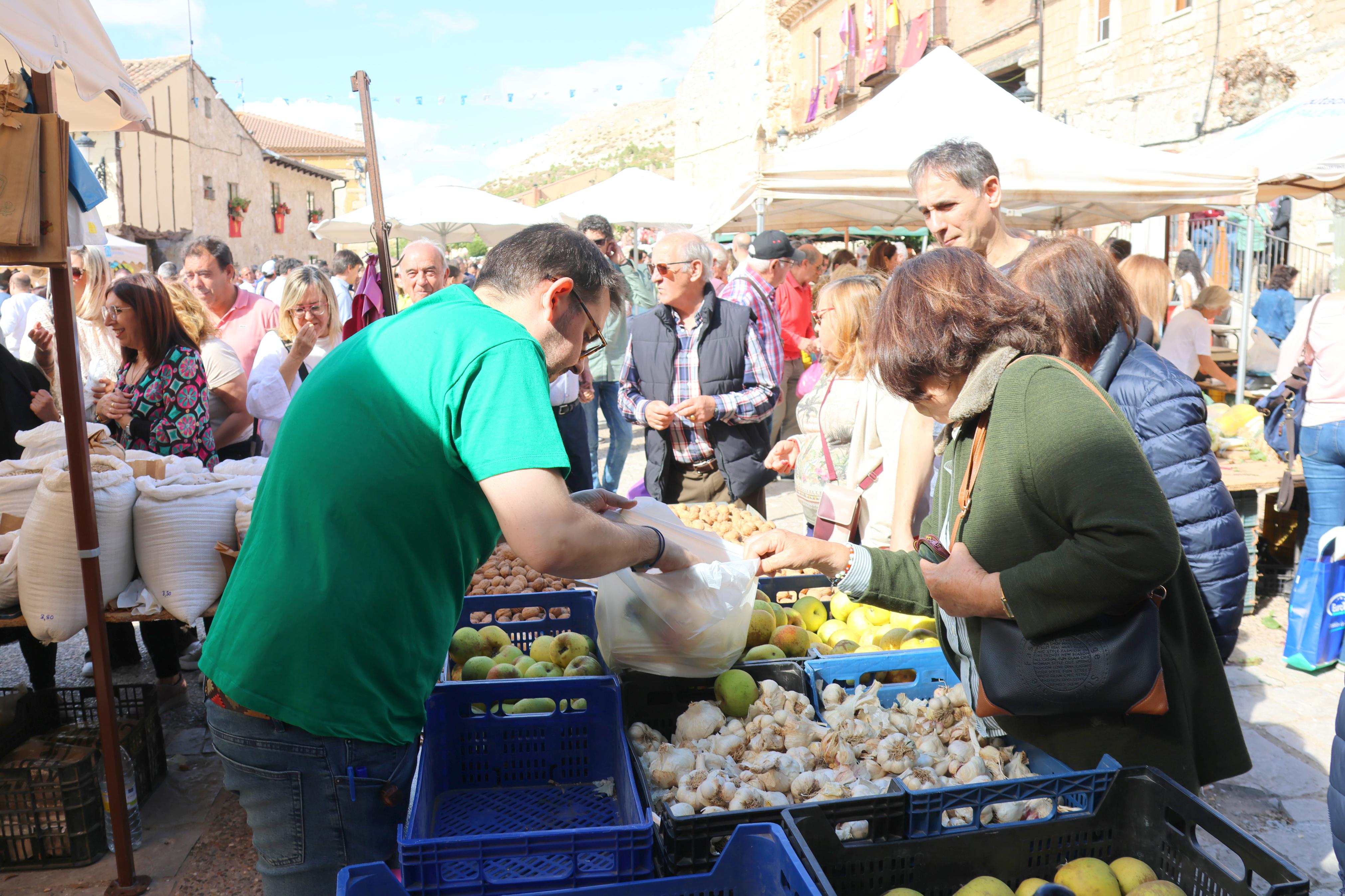 XX Feria de la Cebolla Horcal en Palenzuela