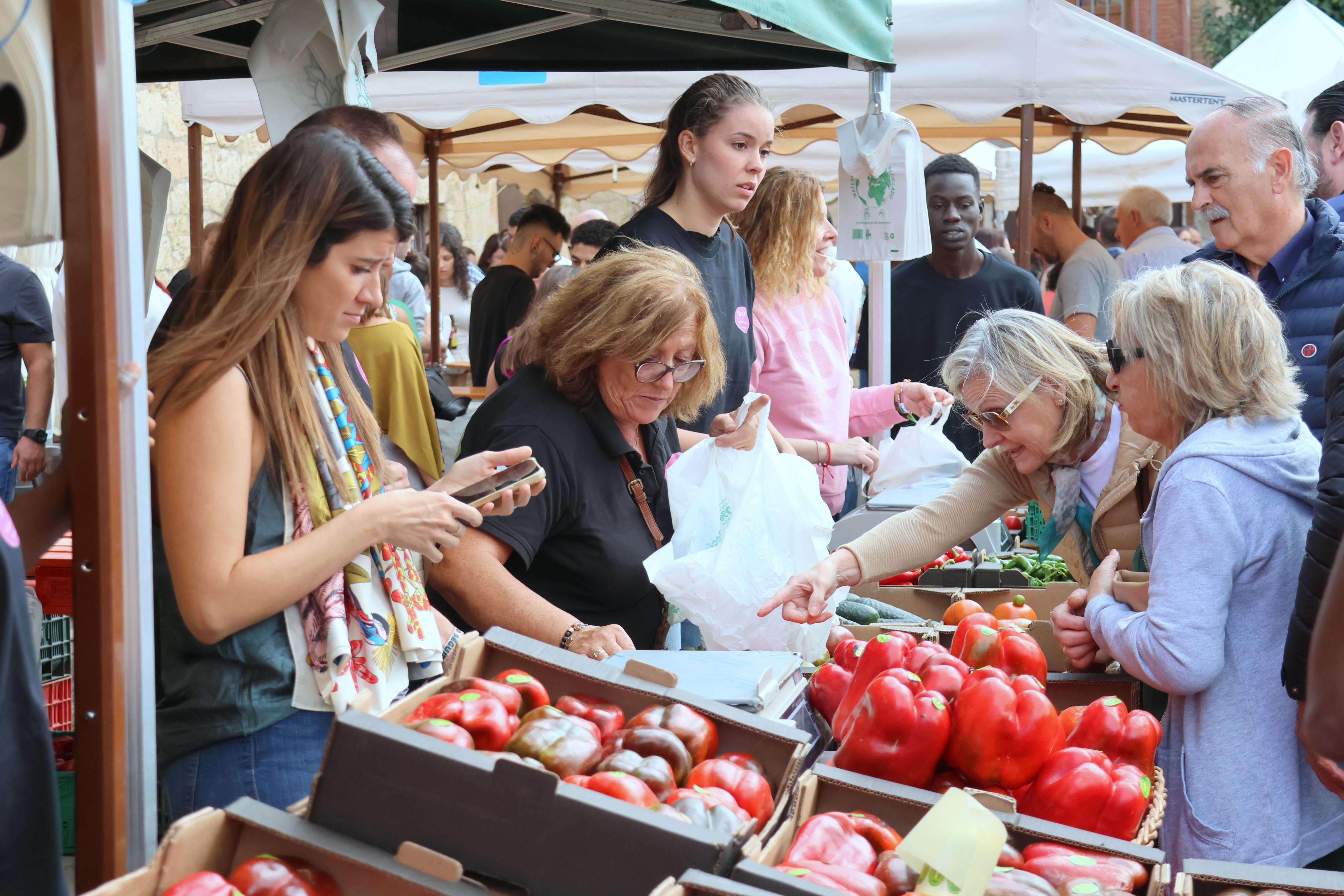 XX Feria de la Cebolla Horcal en Palenzuela
