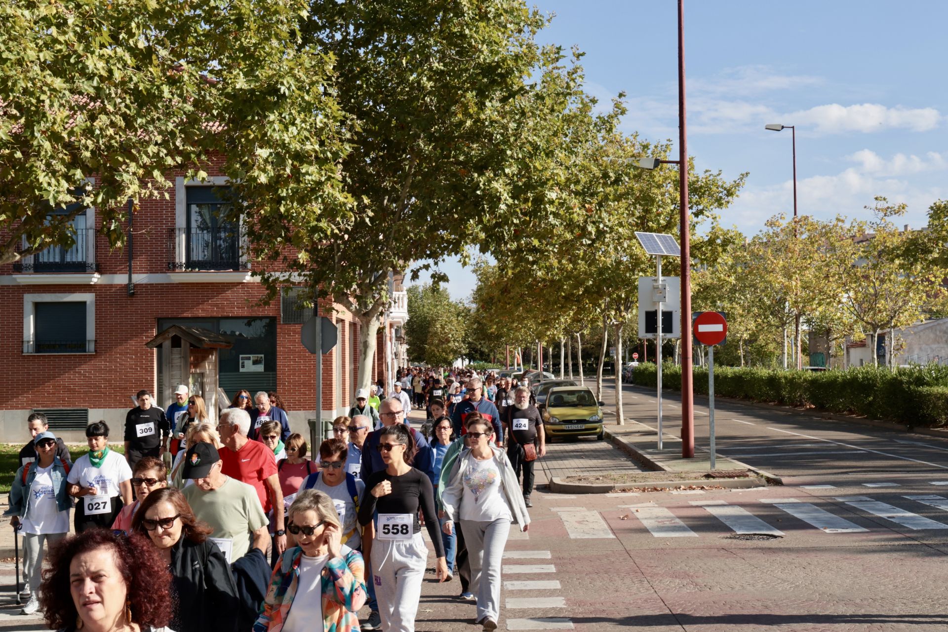 IV Marcha a favor de las personas con daño cerebral adquirido en Valladolid