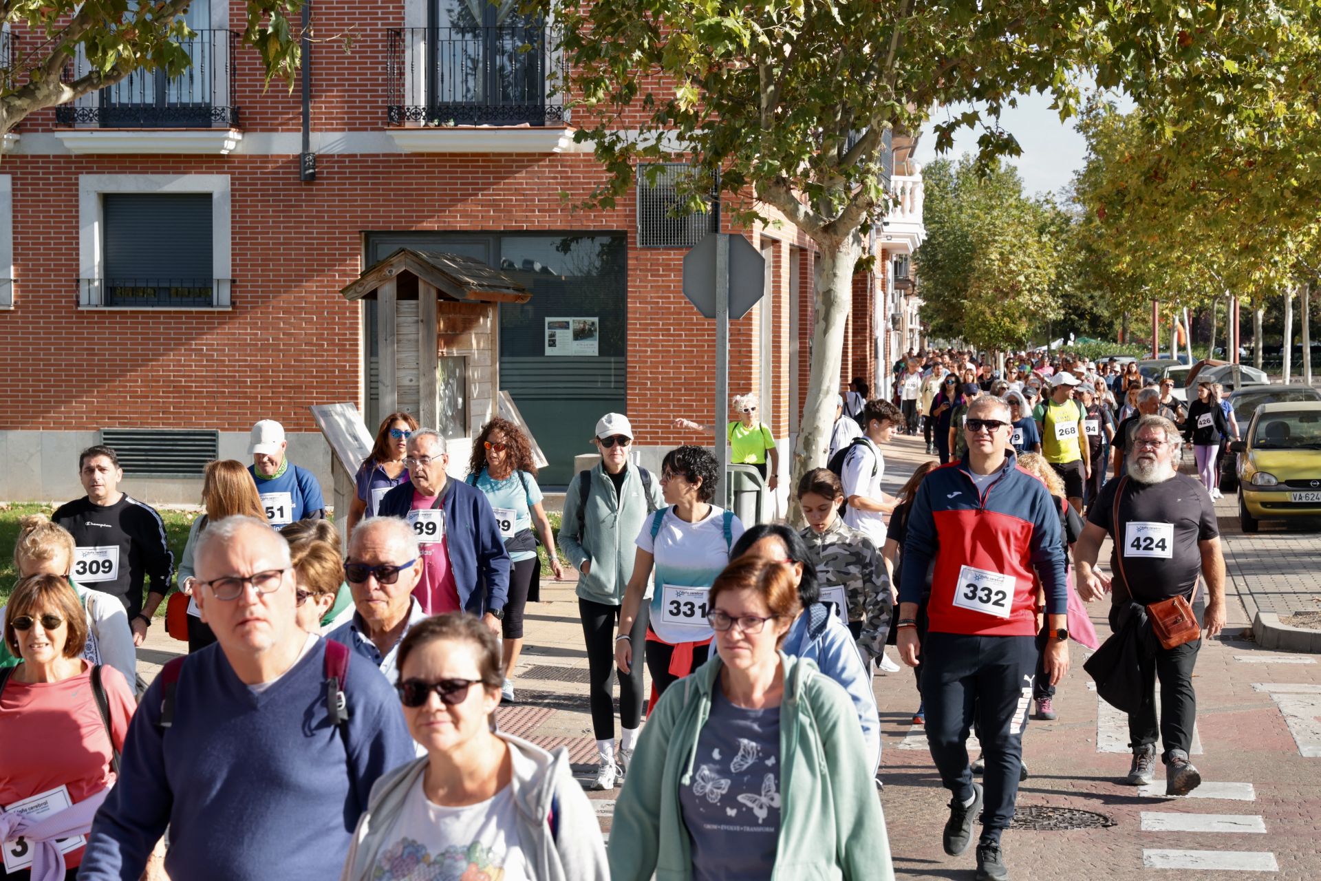 IV Marcha a favor de las personas con daño cerebral adquirido en Valladolid