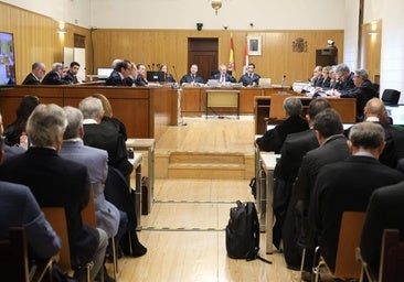 El jefe de Industria en Soria asegura que conoció la necesidad de los socios cuando se presentó la querella de la Fiscalía