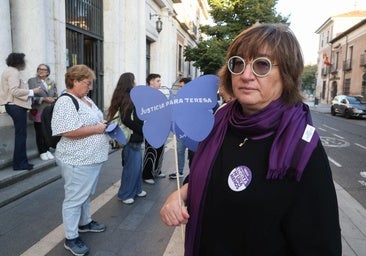El juicio por el asesinato de Teresa Rodríguez se traslada a Valladolid durante una mañana