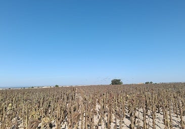 El campo reclama que se le escuche ante el grave impacto del cambio climático