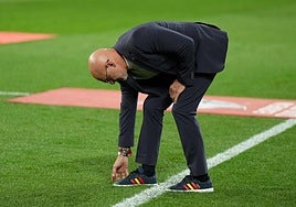 Luis de la Fuente revisa el estado del césped en Zorrilla.