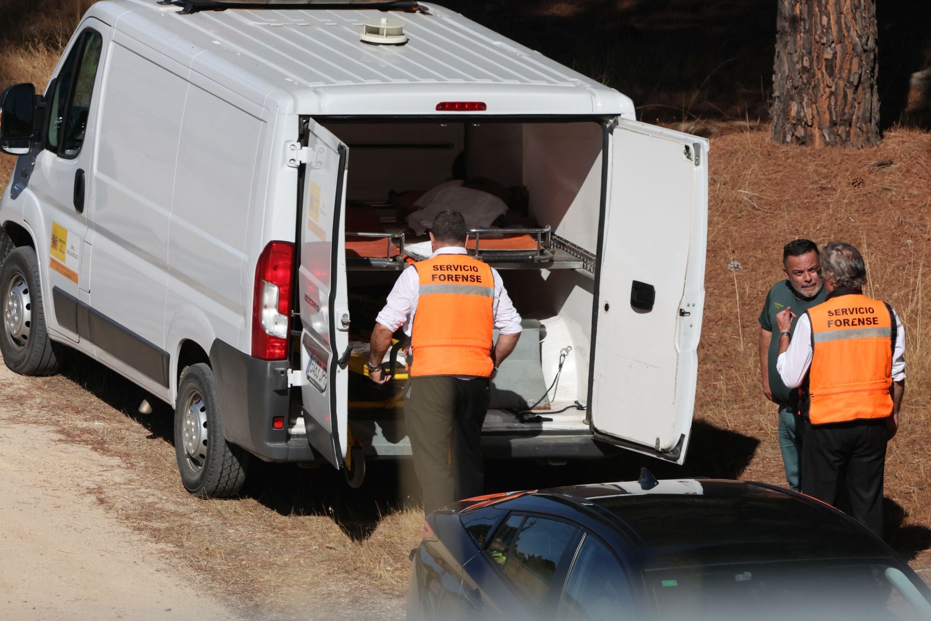 Las imágenes del tren detenido entre Olmedo y Valdestillas