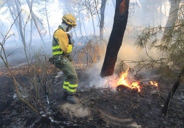 El fuego arrasa en Segovia más del doble de superficie forestal respecto a 2024