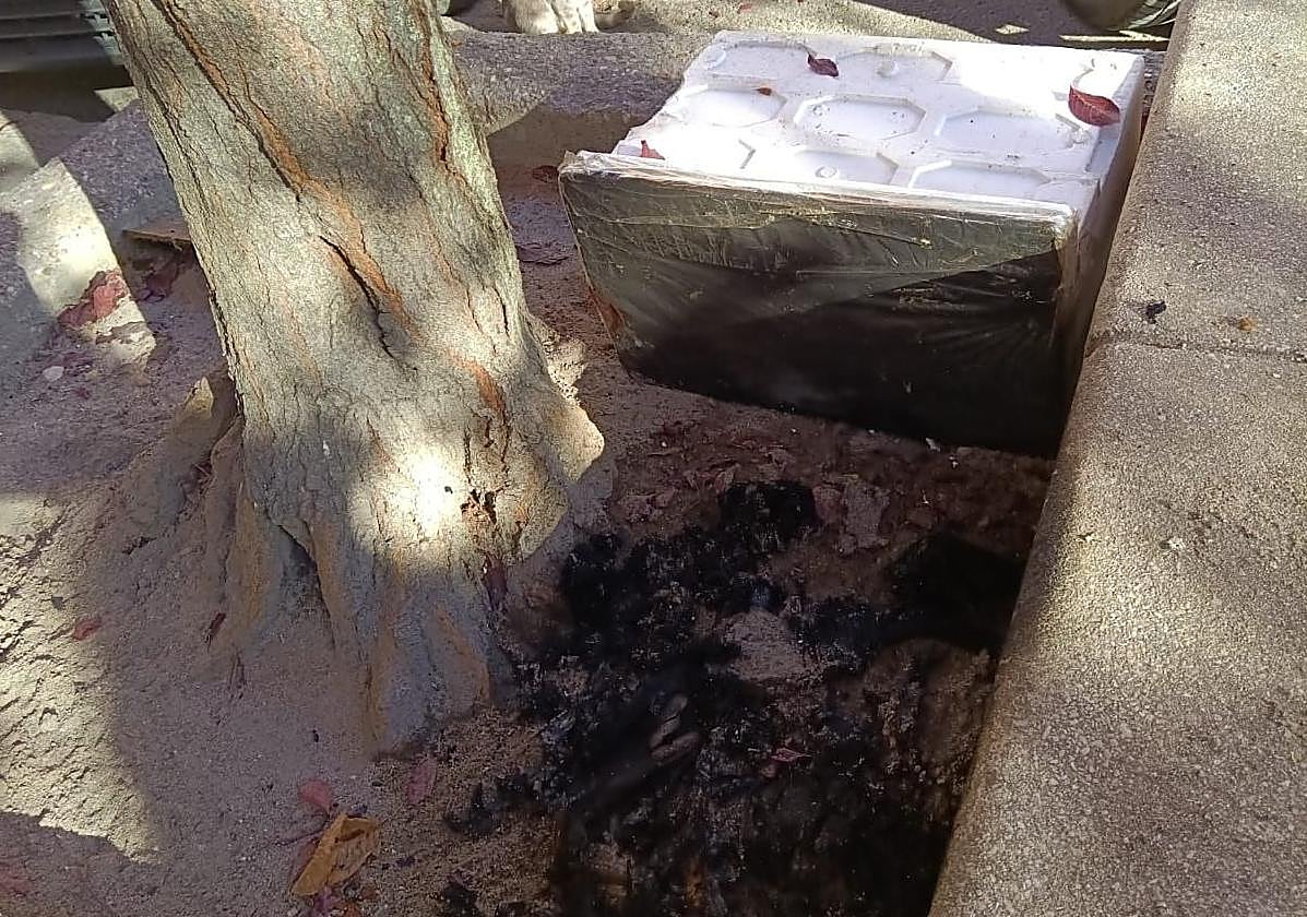 Restos de las instalaciones quemadas en el acto vandálico contra una colonia de gatos en Cuéllar.