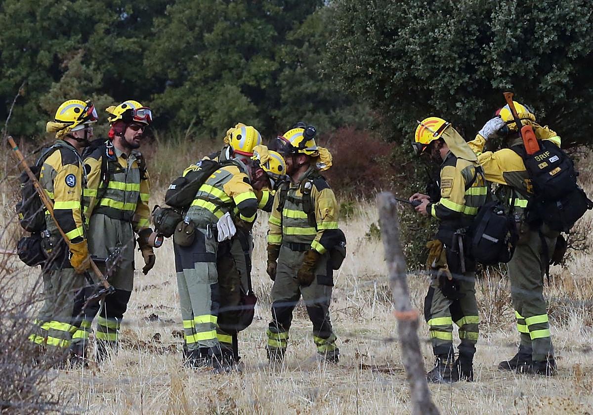 Efectivos de una brigada forestal en el incendio de La Pinilla.