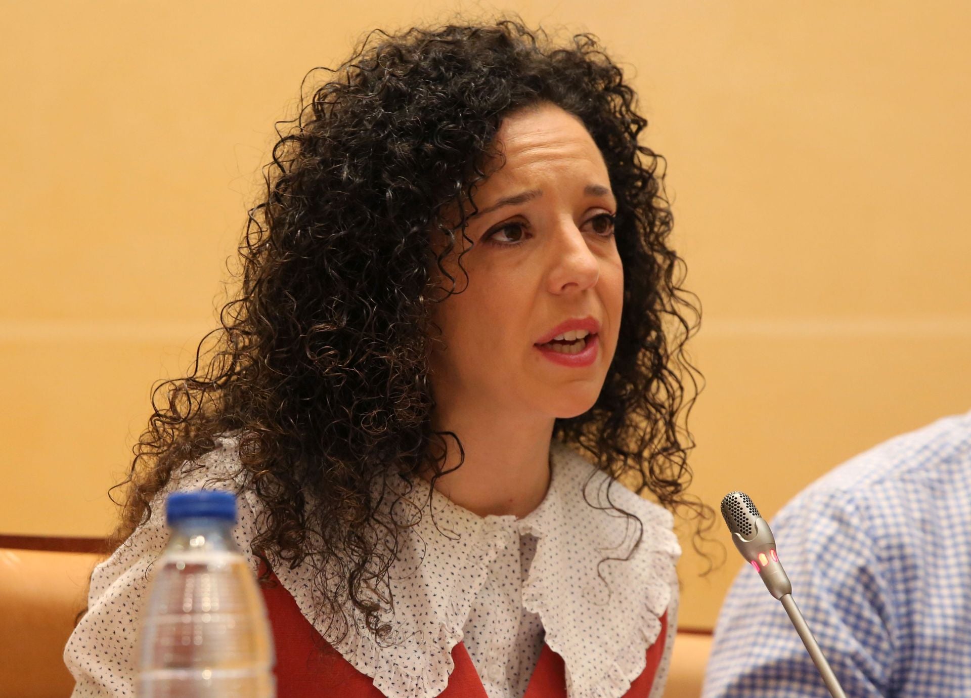 Fotografías de la mañana municipal en el Ayuntamiento de Segovia