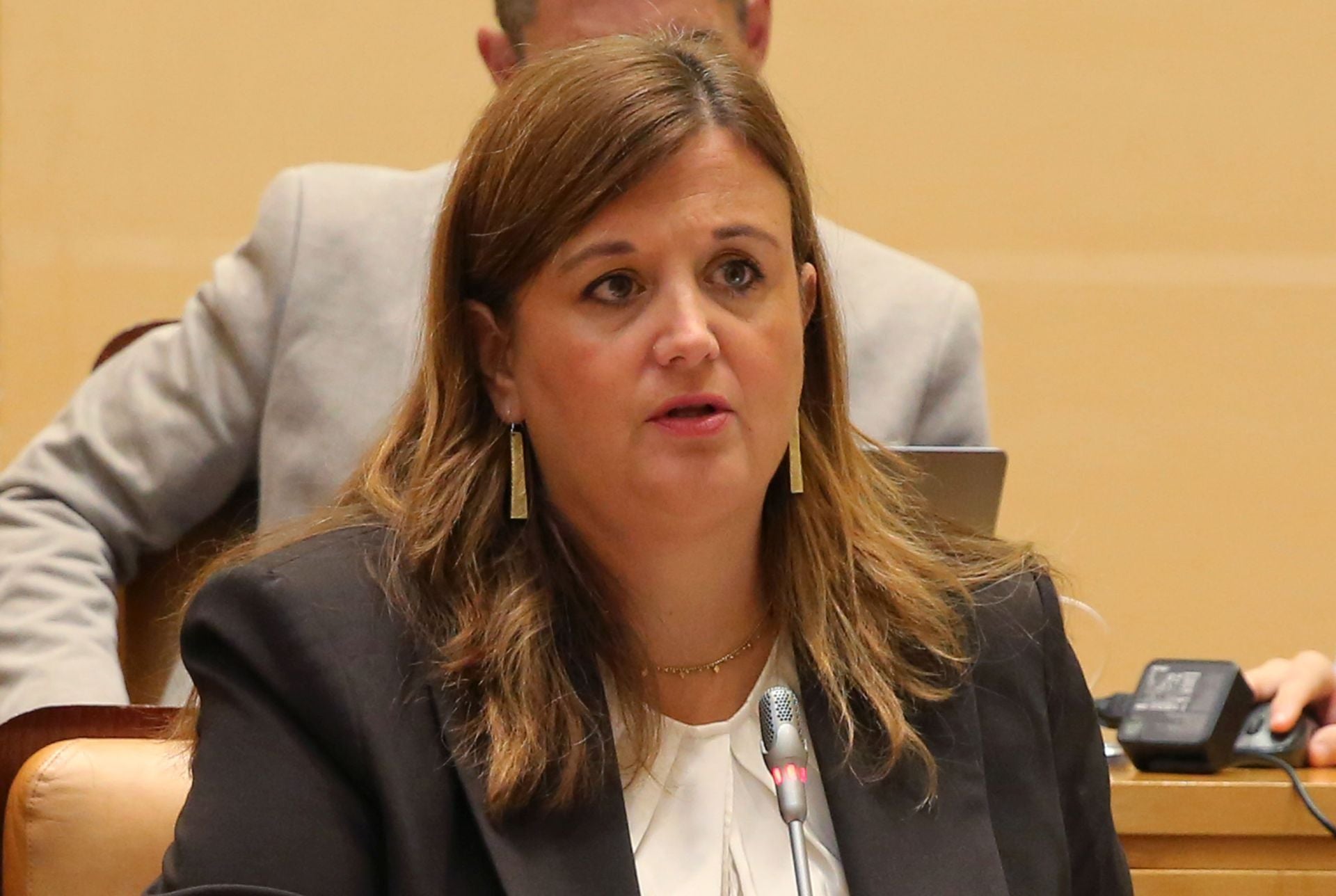 Fotografías de la mañana municipal en el Ayuntamiento de Segovia