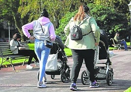 Dos mujeres caminan por un parque con carritos de bebé.