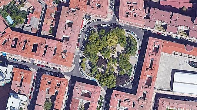 ¿Qué es ese puñado de árboles? 