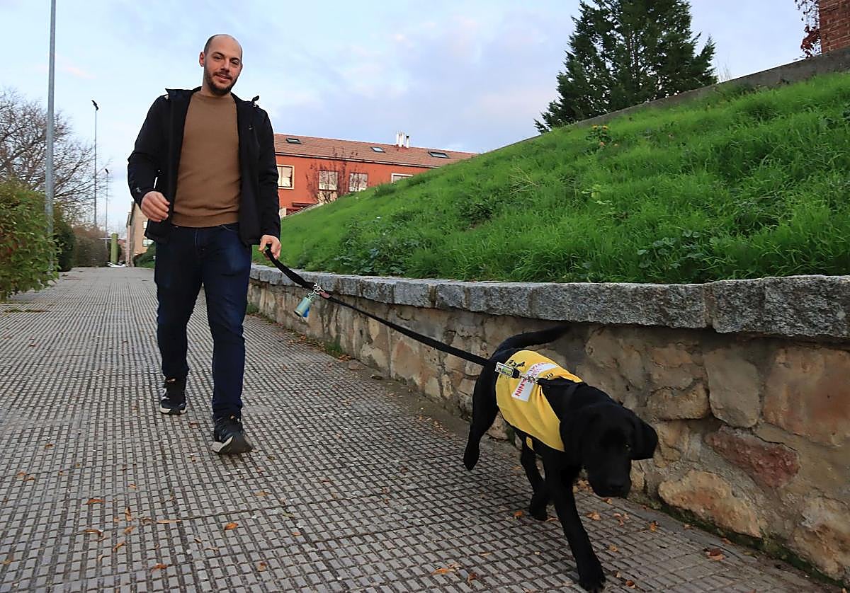 Nacho Riquelme pasea con Kempton, el perro que está siendo entrenado para ser guía de personas ciegas.