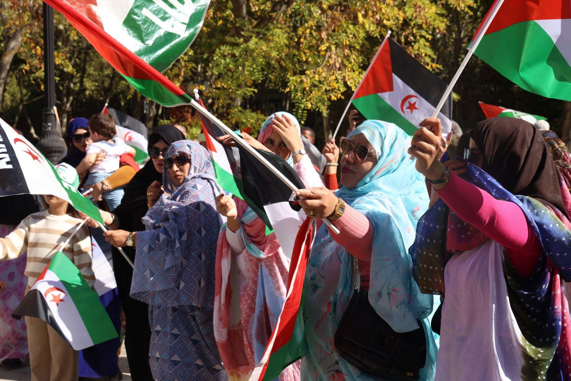Protesta por la indepencia del pueblo saharaui en Valladolid