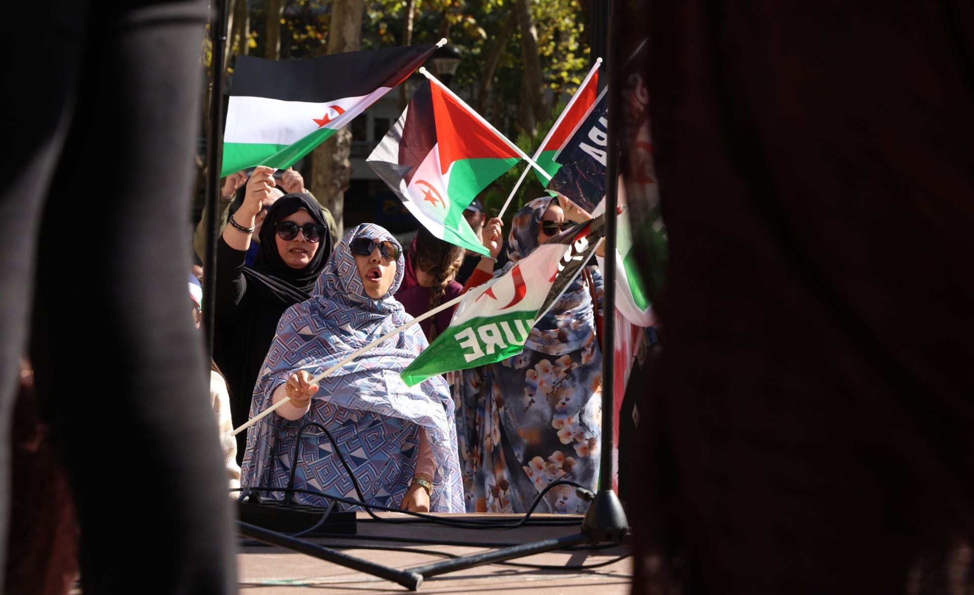 Protesta por la indepencia del pueblo saharaui en Valladolid