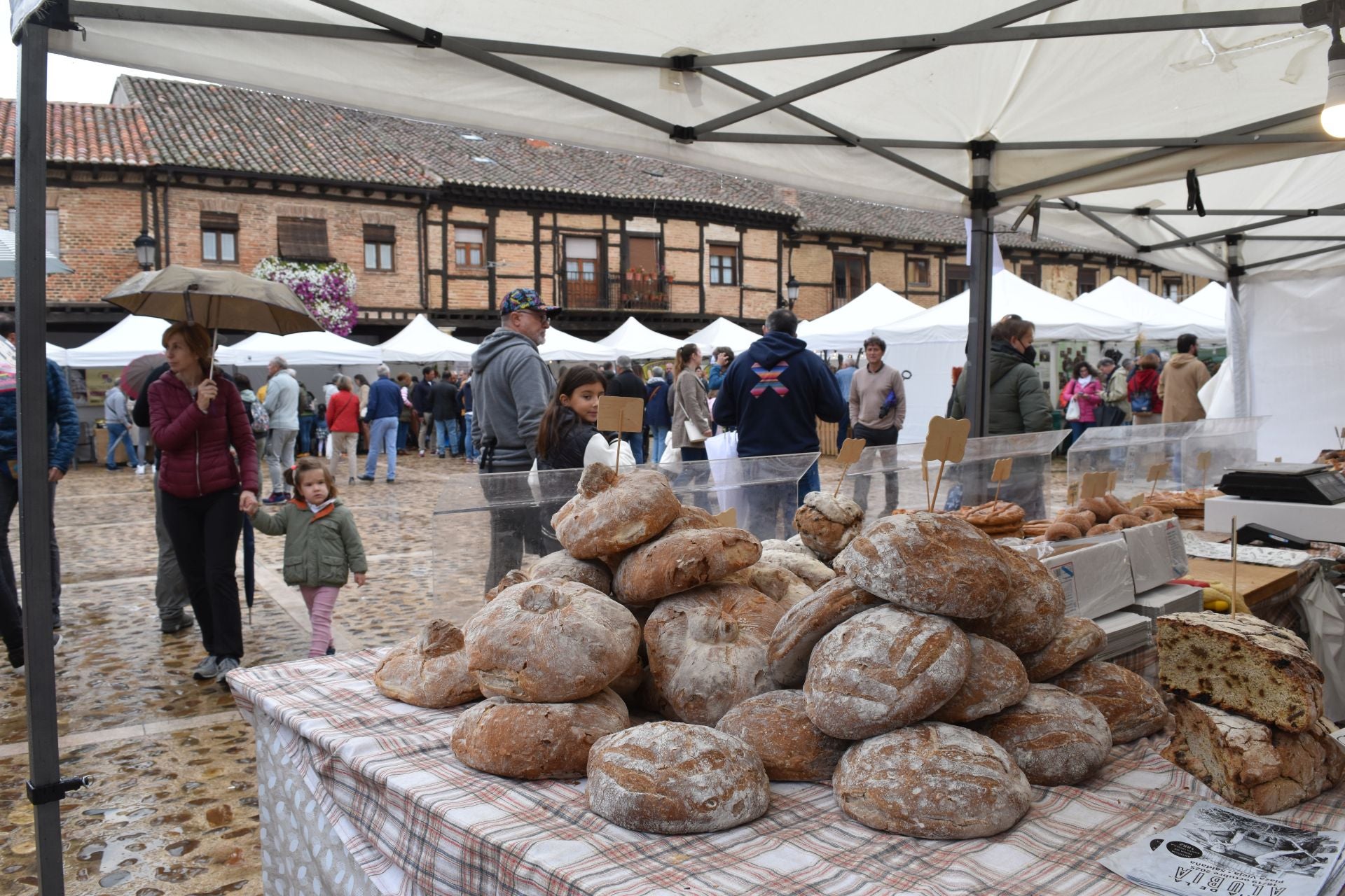 Saldaña presume de legumbres