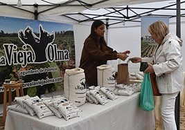 Uno de los puestos de venta de legumbres de la Feria de la Alubia.