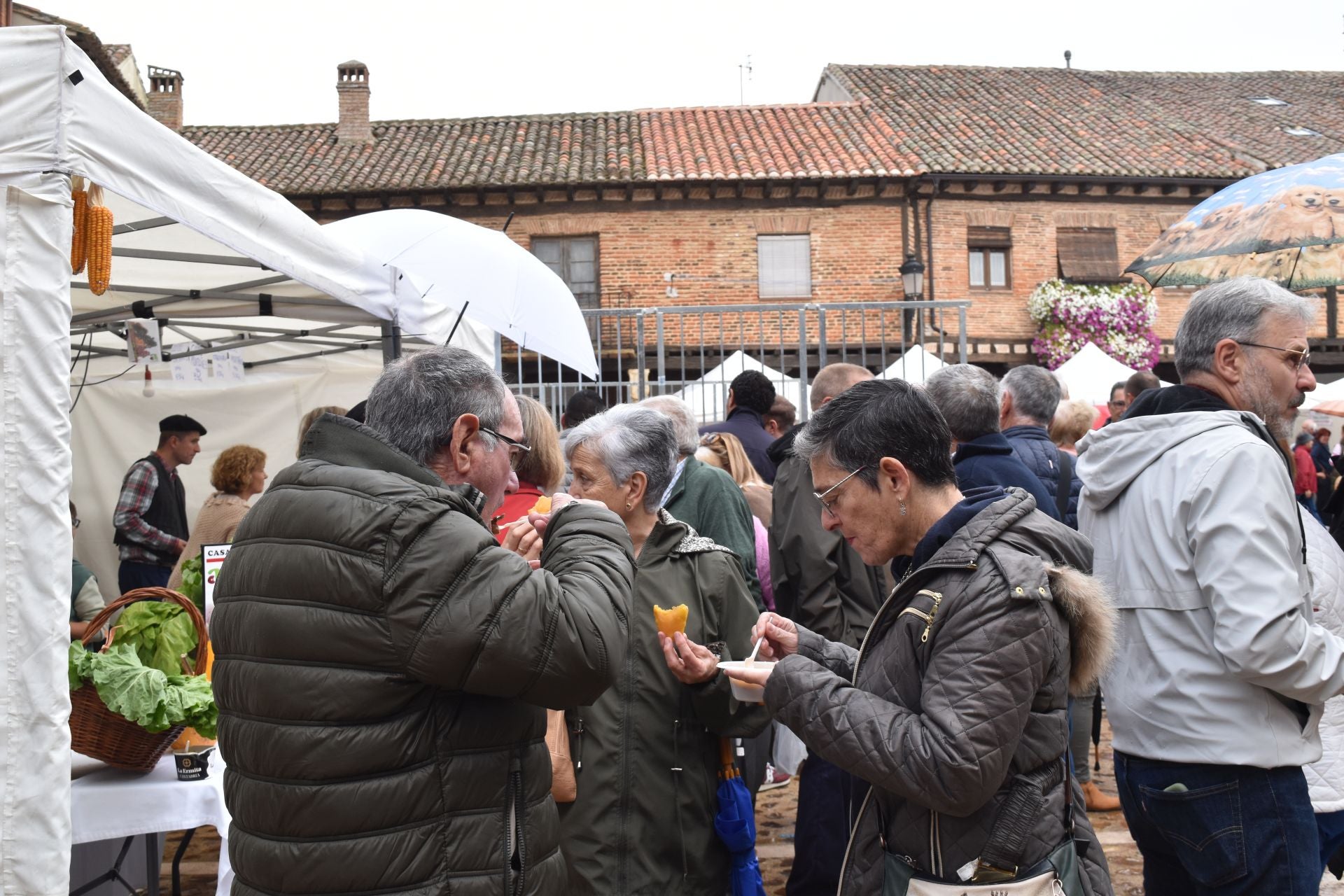 Saldaña presume de legumbres