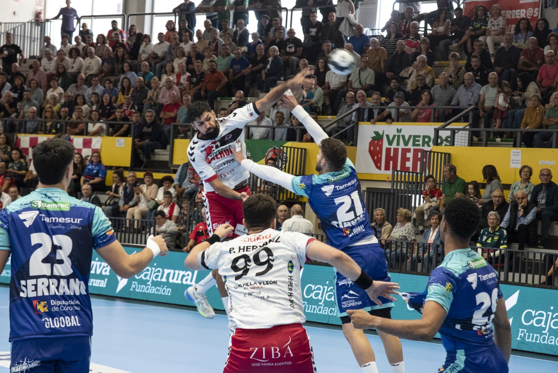La derrota del Balonmano Nava, en imágenes