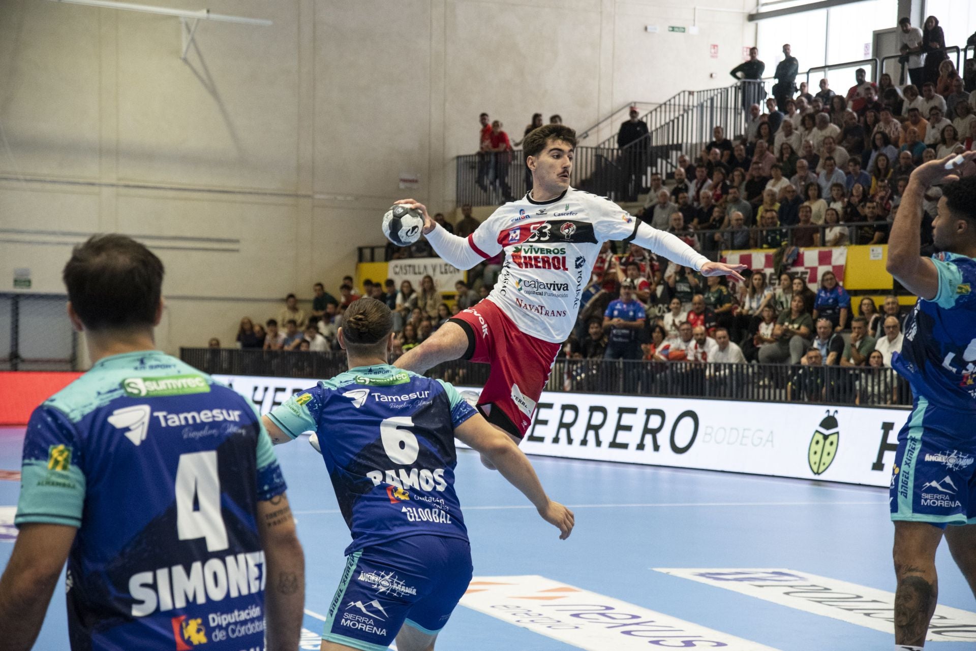 La derrota del Balonmano Nava, en imágenes