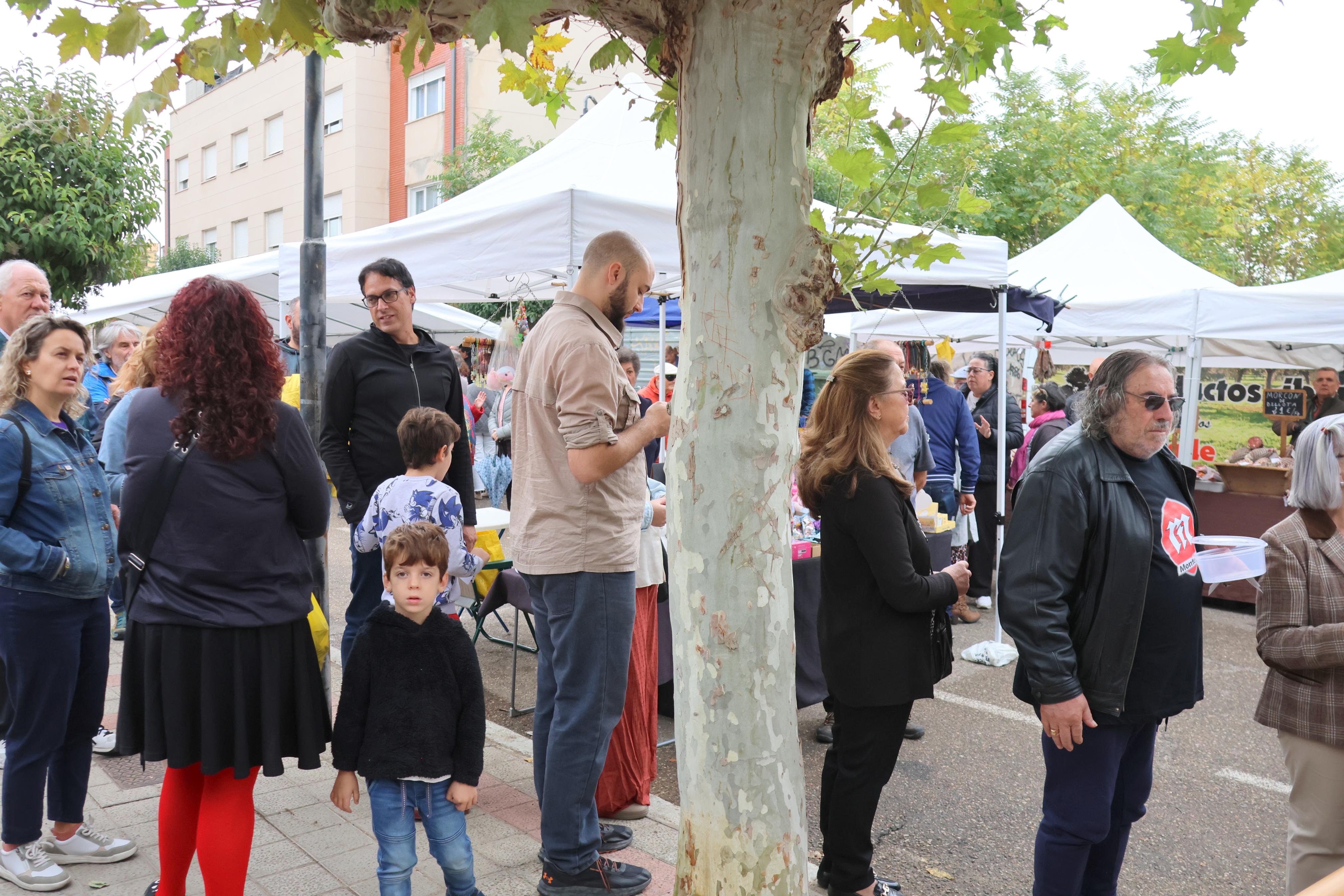 XII Olla Ferroviaria en Venta de Baños