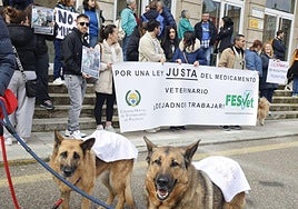 Protesta de veterinarios y dueños de animales, el pasado mes de marzo, contra la nueva ley de fármacos.