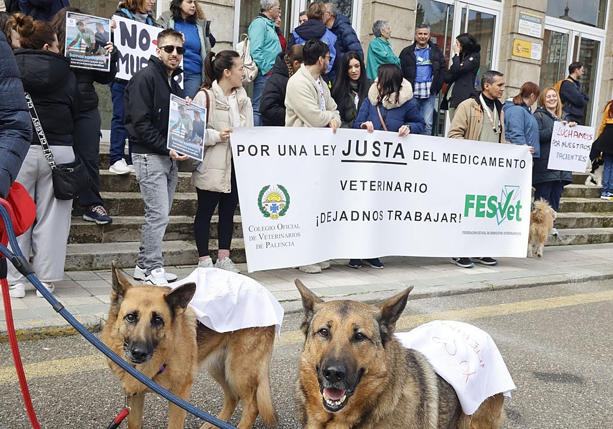 Protesta de veterinarios y dueños de animales, el pasado mes de marzo, contra la nueva ley de fármacos.