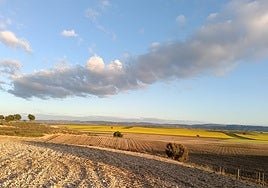 El campo reclama la investigación de nuevas variedades de semillas que planten cara al cambio climático