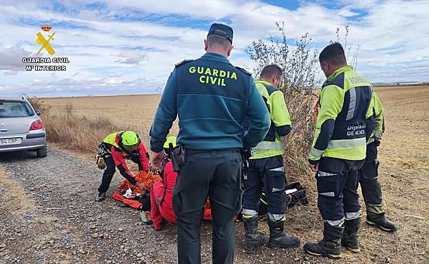 Hallazgo del vecino de San Cebrián de Campos.