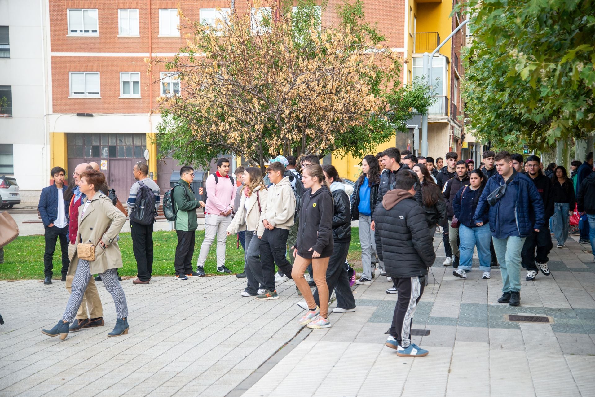 Así ha transcurrido la Feria de Empleo de Palencia