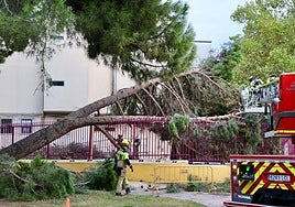 Los bomberos retiran ramas del árbol caído.