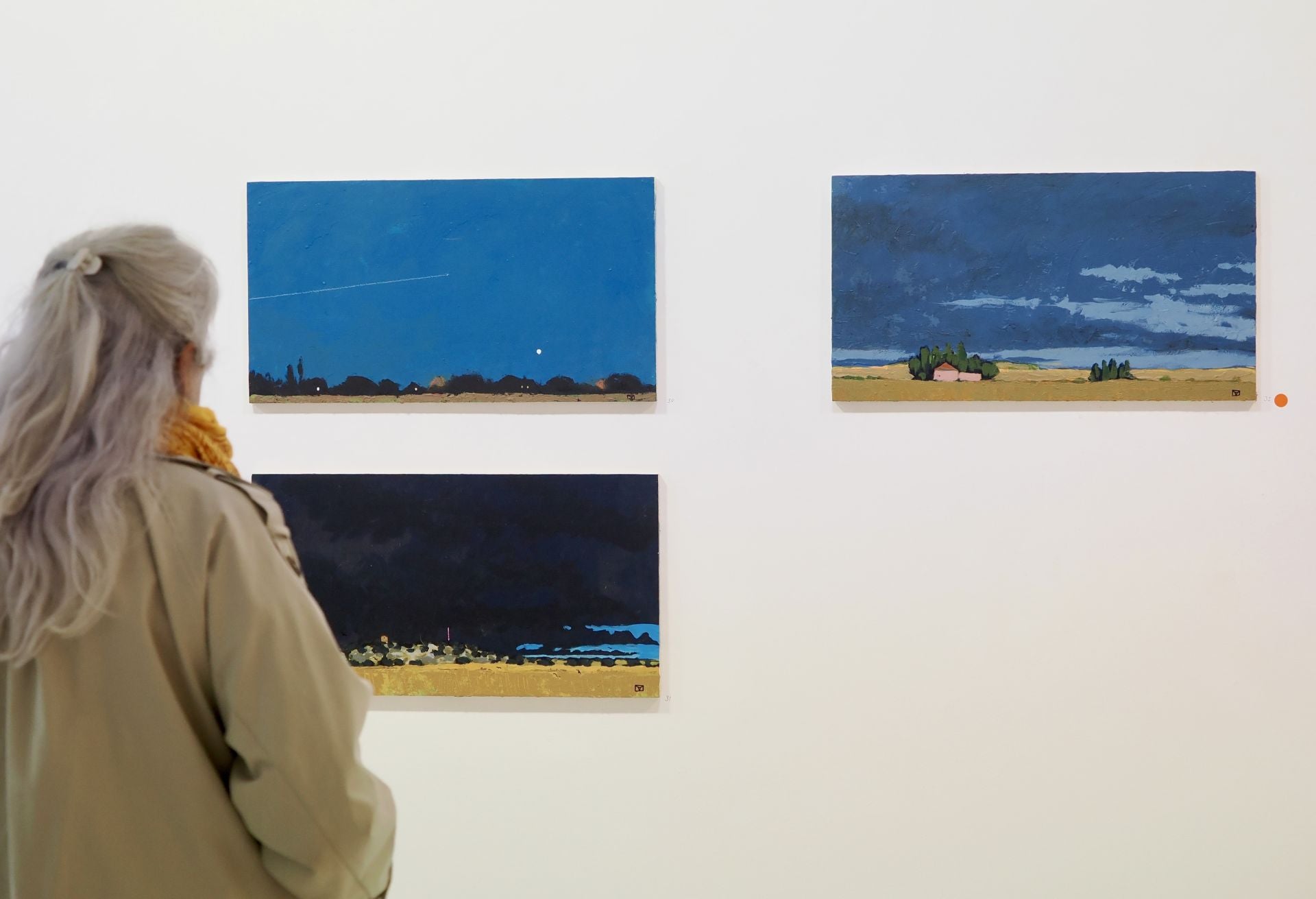 Las imágenes de la exposición de Gerardo Vacas en Valladolid