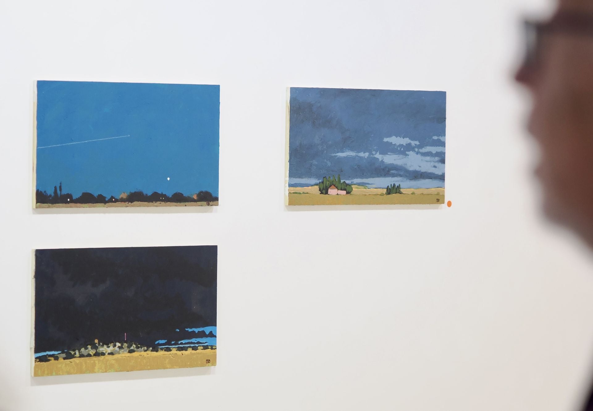 Las imágenes de la exposición de Gerardo Vacas en Valladolid