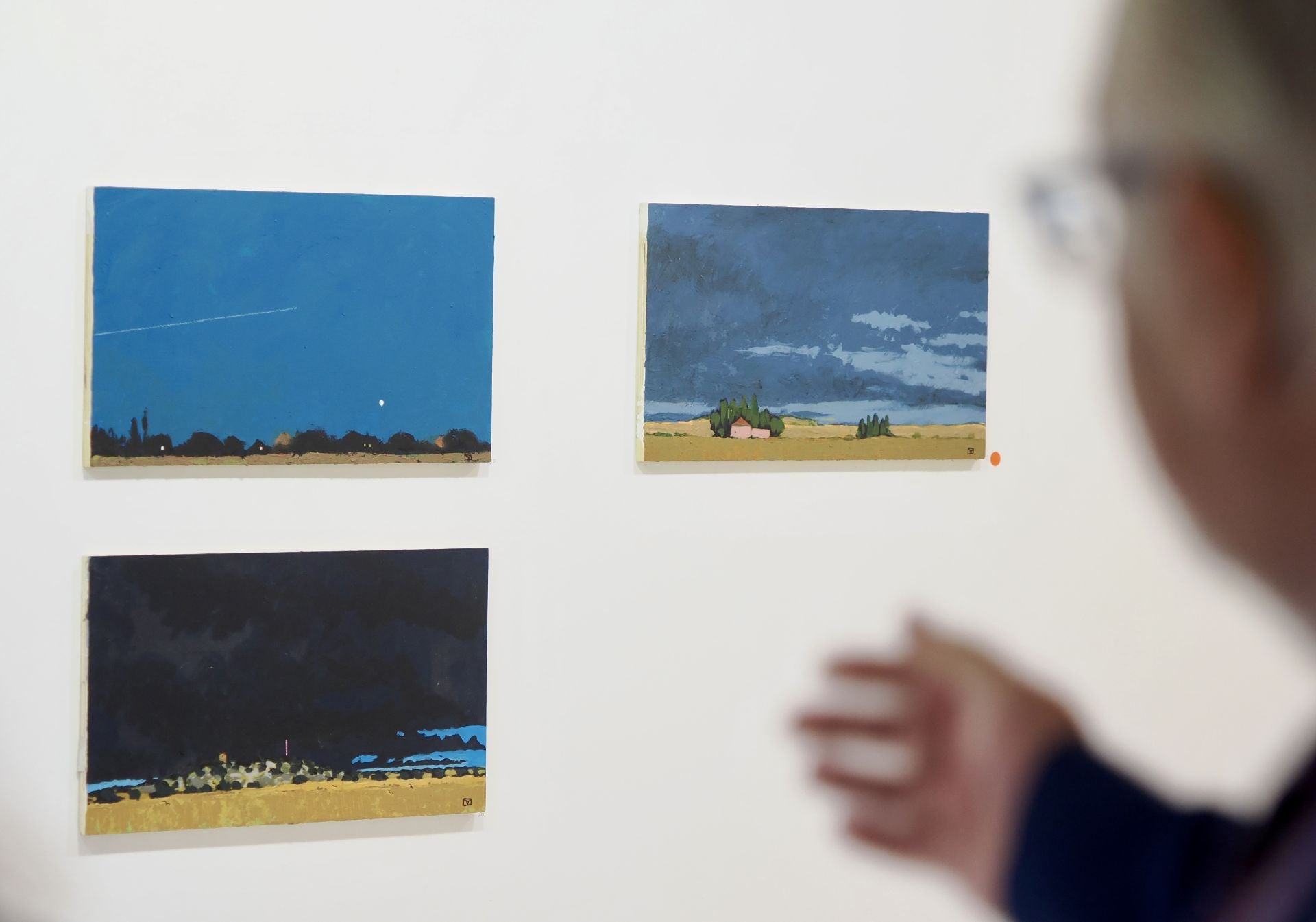 Las imágenes de la exposición de Gerardo Vacas en Valladolid