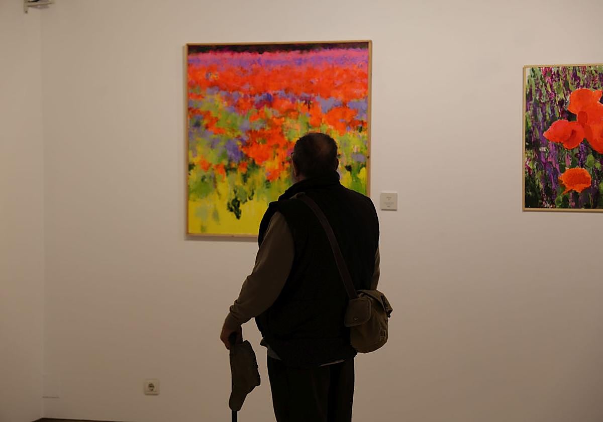 Un visitante en la exposición de Pablo Giménez en Pimentel.