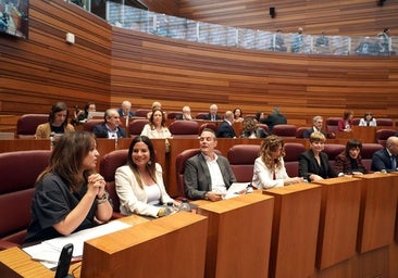 La extraña estrategia política del PSOE de Castilla y León