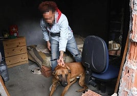 Ismael Trinidad, en mayo de 2025, en la casa okupada de Domingo Martínez.