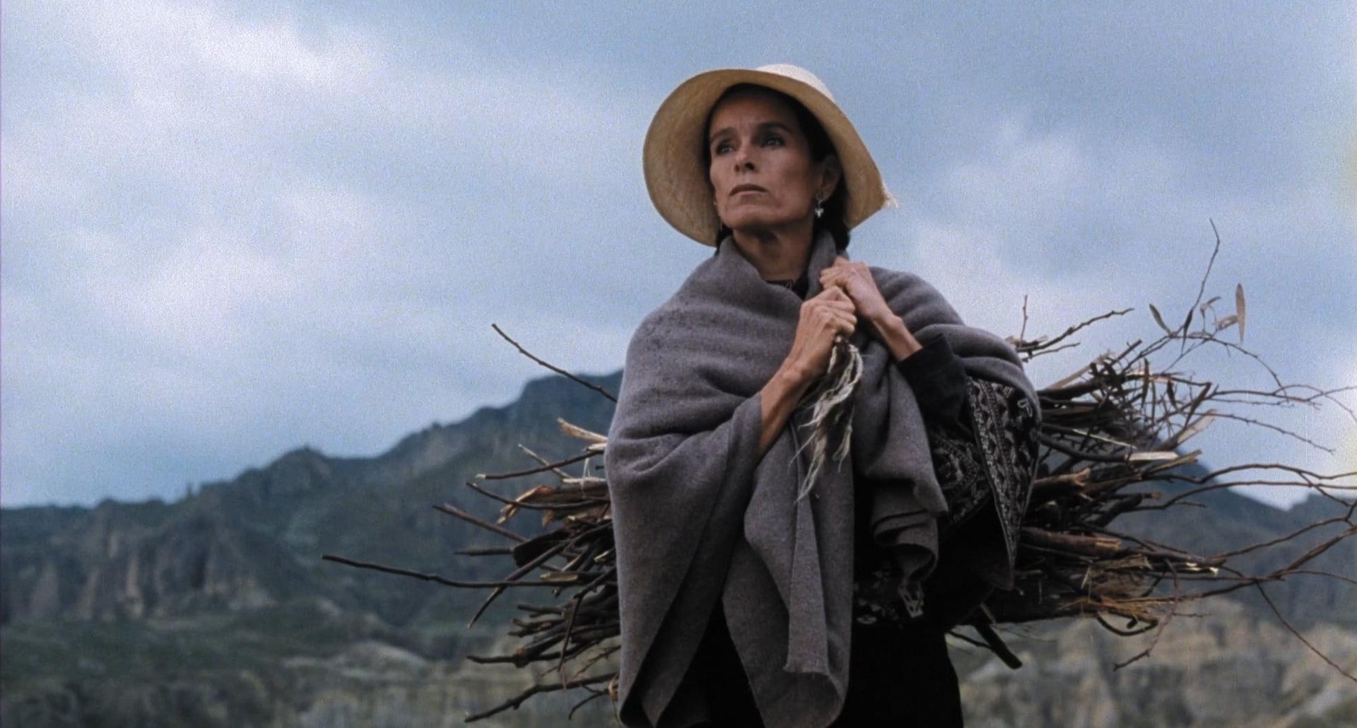 Pelicula: 'Para recibir el canto de los pájaros'.