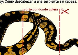 La viñeta de Rodera